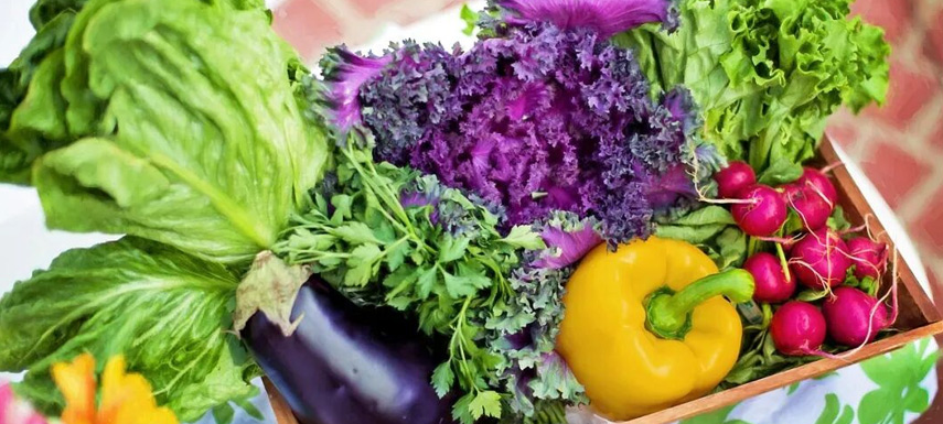 不要小看“兩歲的西蘭花”！冷凍蔬菜承載從田間到餐桌的供應鏈革命